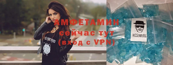 амф Фёдоровский