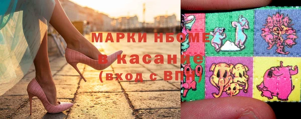 стаф Карпинск