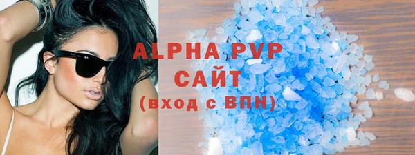 стаф Карпинск