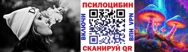 Купить  Кашира  Псилоцибиновые грибы GOLDEN TEACHER 